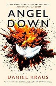angel down-daniel kraus-9781835415382