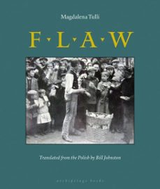 flaw (ebook)-magdalena tulli-9781935744382