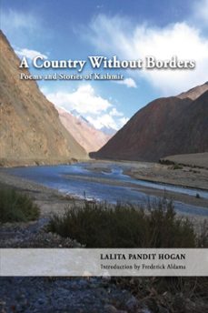 -lalita pandit hogan-9781940939582