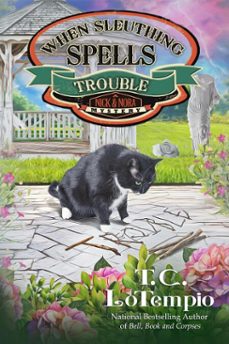 when sleuthing spells trouble (ebook)-t. c. lotempio-9781966322382