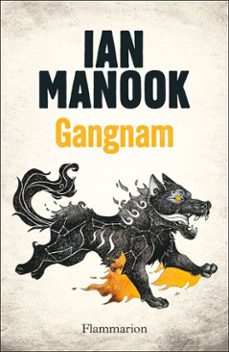 gangnam-ian manook-9782080491282