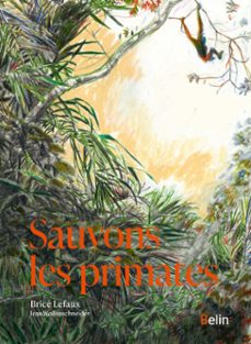 -brice lefaux-jean wollenschneider-9782410022582