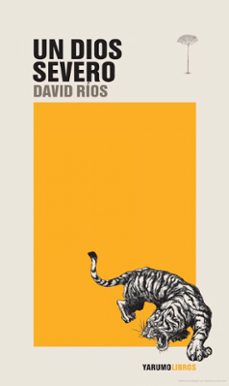 un dios severo (ebook)-david ríos-9786289598582