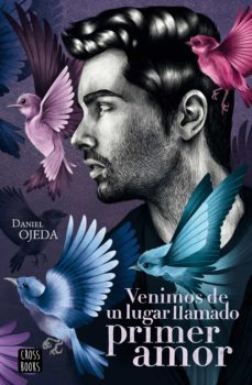 venimos de un lugar llamado primer amor (ebook)-daniel ojeda checa-9788408226482