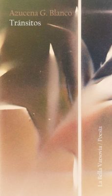 transitos (ebook)-azucena g. blanco-9788433929938