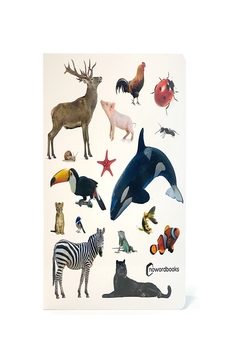 animales!-9788412906882