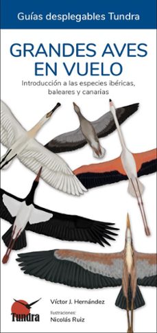 grandes aves en vuelo - guias desplegables tundra-victor j. hernandez-9788418458682