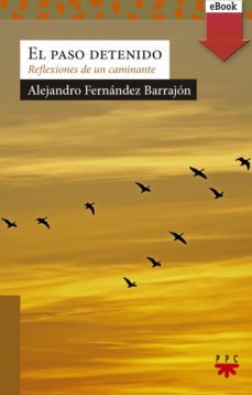 el paso detenido (ebook)-alejandro fernandez barrajon-9788428835282