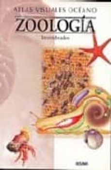 zoologia: invertebrados-9788449412882