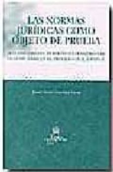 las normas juridicas como objeto de prueba. tratamiento del derec ho extranjero y de la costumbre en el proceso civil español-9788484560982