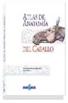 (i.b.d.) atlas de anatomia del caballo-klaus dieter budras-w. o. sack-sabine rock-9788487736582