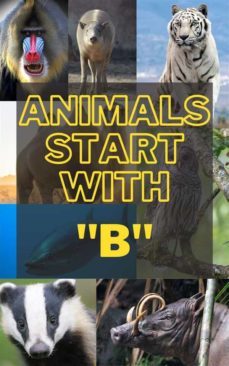 animals that start with b (ebook)-9791222025582