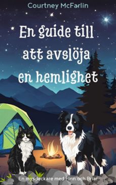 en guide till att avsloja en hemlighet (ebook)-courtney mcfarlin-9798233660382