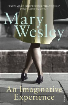 an imaginative experience (ebook)-mary wesley-9781446443392