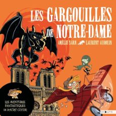 -laurent audouin-9782384490592