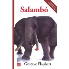 -gustave flaubert-9786071667892