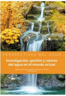 investigacion, gestion y valores del agua en el mundo actual-miguel angel alvarez vazquez-9788413245492