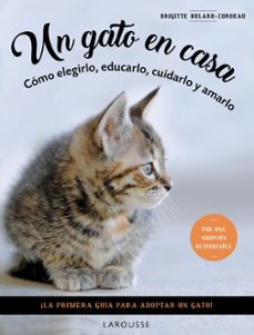 un gato en casa-brigitte baulard cordeau-9788419436092
