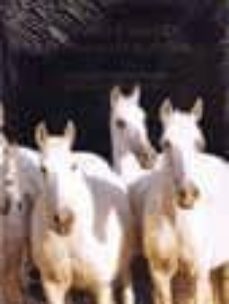 historia y origen del caballo español = history and origins of th e spanish horse (ed. bilingue español-ingles)-juan carlos altamirano-9788460741992