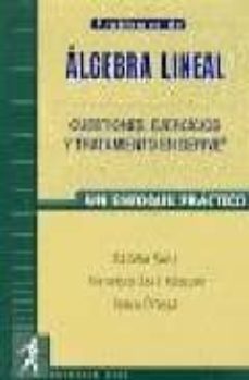 problemas de algebra lineal y su tratamiento en derive-paloma sanz alvaro-francisco jose vazquez hernandez-9788483220092