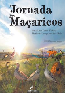 a jornada dos maçaricos (ebook)-carolline zatta fieker-9788576005292