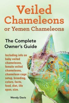 veiled chameleons or yemen chameleons as pets info on baby veiled chameleons female veiled chameleons chameleon cage setup breeding colors facts food diet life span size-9789810917692
