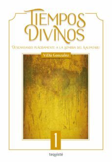 tiempos divinos (ebook)-vida gonzalez-9789874935892