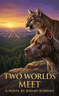two worlds meet (ebook)-j. r. knocks-jeremy robbins-9798232643492
