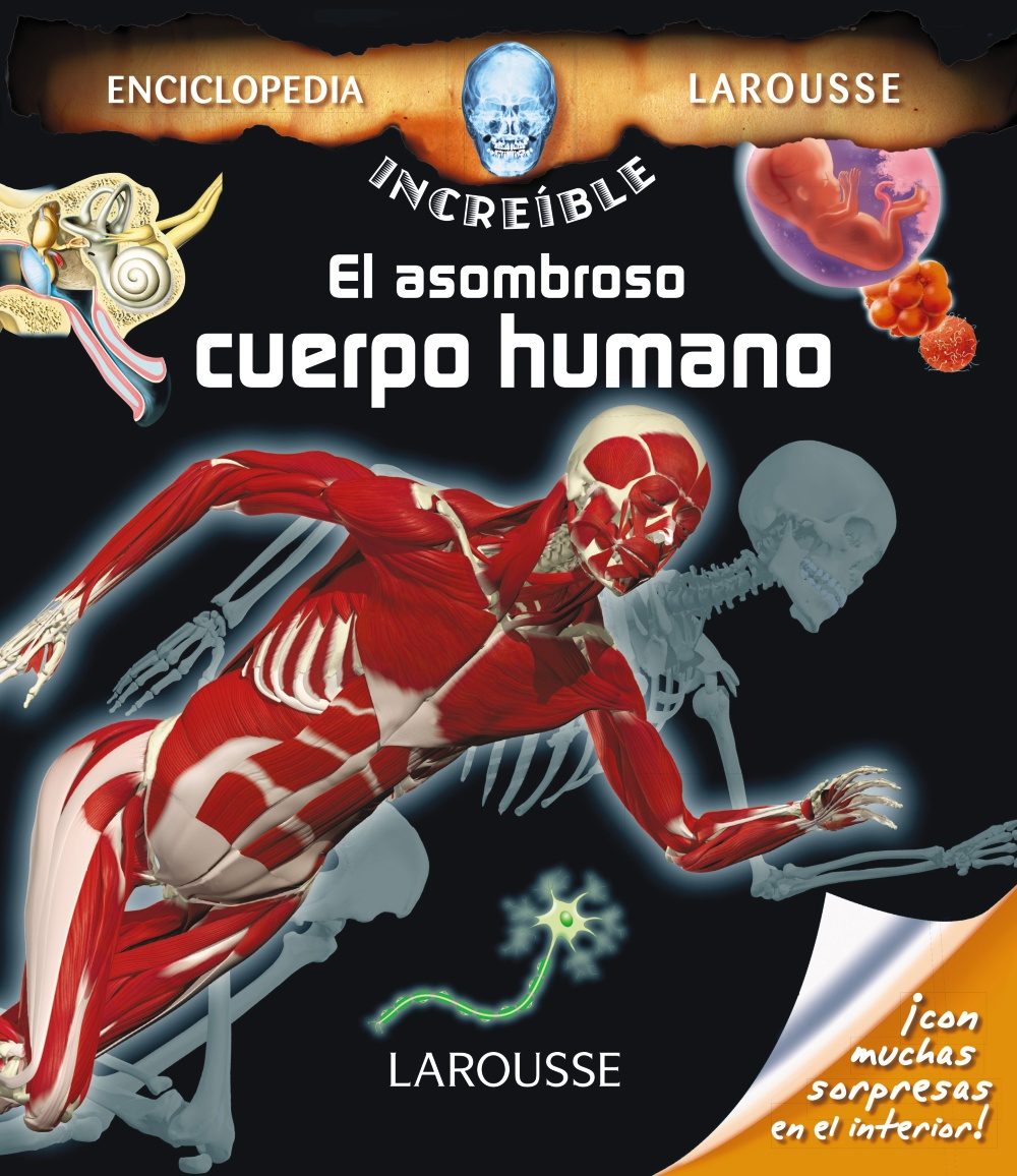 El Asombroso Cuerpo Humano (2ª Ed.) (enciclopedia Increible Larousse) por Vv.aa.