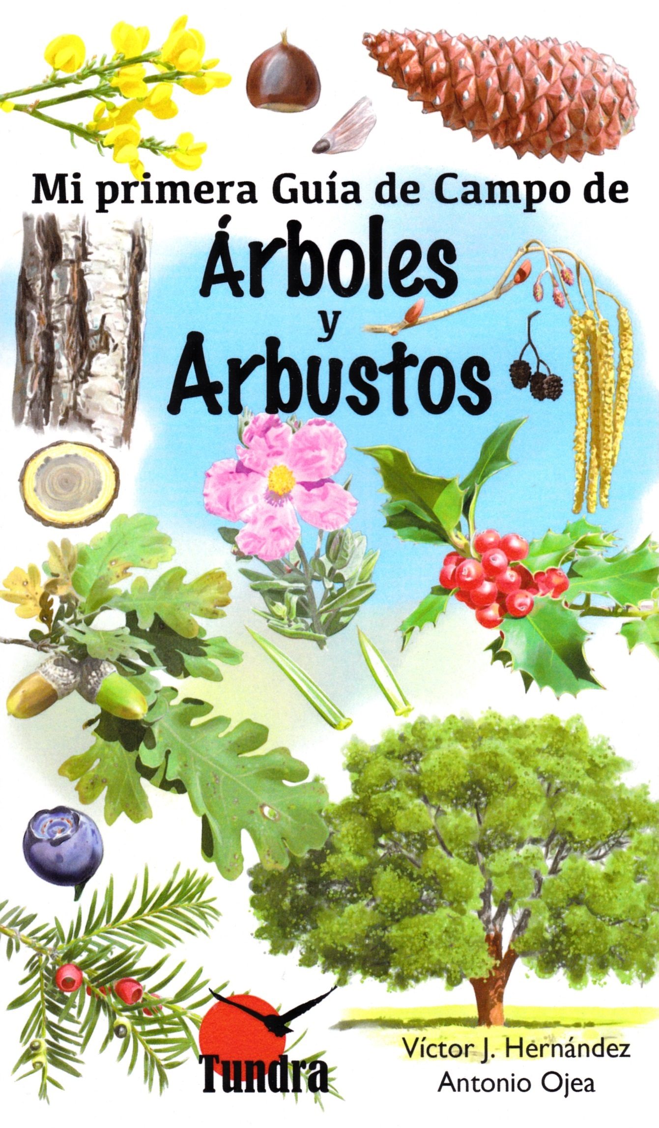 Arboles Y Arbustos: Mi Primera Guia De Campo por Victor J. Hernandez
