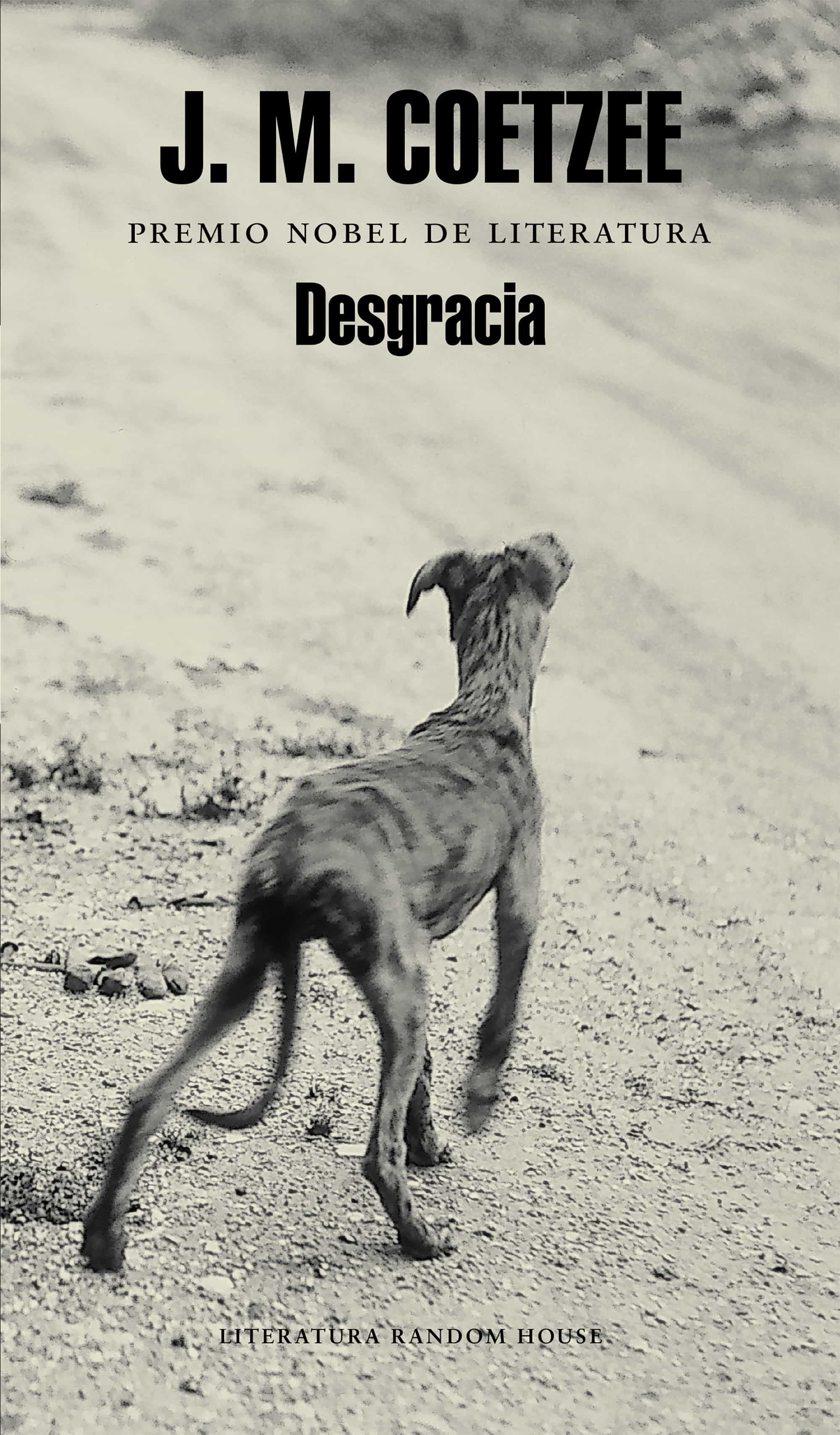 Desgracia por J.m. Coetzee