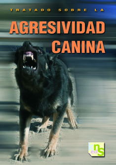 Significado De Adiestramiento Significado De Adiestramiento