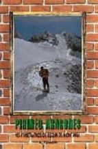 ciento cinco itinerarios de esqui de montaña pirineo aragones-agustin tomico alique-9788487601002 ciento cinco itinerarios de esqui de montaña pirineo aragones-agustin tomico alique-9788487601002