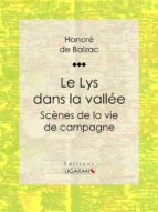 le lys dans la vallée (ebook)-honoré de balzac- ligaran-9782335005622 le lys dans la vallée (ebook)-honoré de balzac- ligaran-9782335005622