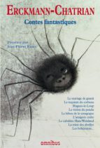 contes fantastiques (ebook)-9782258097162 contes fantastiques (ebook)-9782258097162
