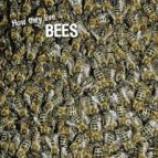 how they live... bees (ebook)-david withrington-ivan esenko-9789616978262 how they live... bees (ebook)-david withrington-ivan esenko-9789616978262