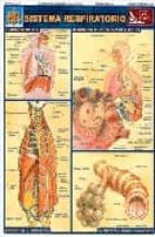 (lamina) sistema respiratorio-9789702408772 (lamina) sistema respiratorio-9789702408772