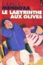 le labyrinthe aux olives-9782020333092