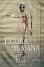 historia de las teorias de la figura humana-juan bordes-9788437620992 historia de las teorias de la figura humana-juan bordes-9788437620992
