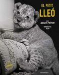 El petit lleó-17729950-otro-formato