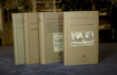 NOVELA CELESTINESCA (4 VOLS.)-13606025-otro-formato