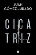 Cicatriz-11655726-otro-formato