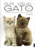 Guía visual del gato-9191015-otro-formato