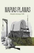 Napias planas-13509282-otro-formato
