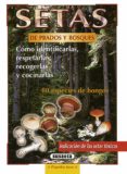 setas de prados y bosques: como idenificarlas, respetarlas, recog erlas y cocinarlas incluye 80 especies de hongos; indicacion de las setas toxicas-mark kobold-9788430595112 setas de prados y bosques: como idenificarlas, respetarlas, recog erlas y cocinarlas incluye 80 especies de hongos; indicacion de las setas toxicas-mark kobold-9788430595112