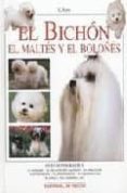 el bichon: el maltes y el boloñes-valeria rossi-9788431529512 el bichon: el maltes y el boloñes-valeria rossi-9788431529512