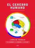 el cerebro humano: libro de trabajo-m. c. diamond-arnold b. scheibel-9788434417212 el cerebro humano: libro de trabajo-m. c. diamond-arnold b. scheibel-9788434417212