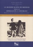 la modificacion de medidas tras la separacion o divorcio-ana belen ordoñez perez-9788493985912 la modificacion de medidas tras la separacion o divorcio-ana belen ordoñez perez-9788493985912