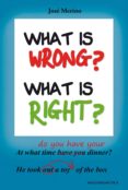 what is wrong? what is right?-jose merino-9788494245312 what is wrong? what is right?-jose merino-9788494245312