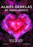 almas gemelas: el reencuentro-alicia planelles-9788496851412 almas gemelas: el reencuentro-alicia planelles-9788496851412
